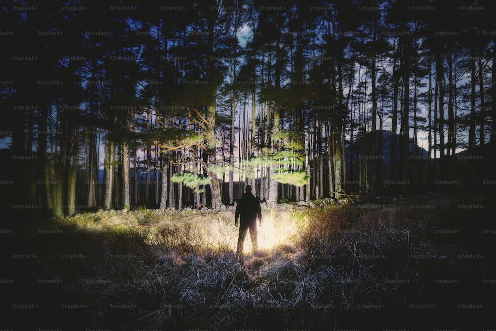 Un hombre parado en medio de un bosque por la noche