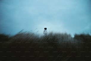 a person standing in a field of tall grass