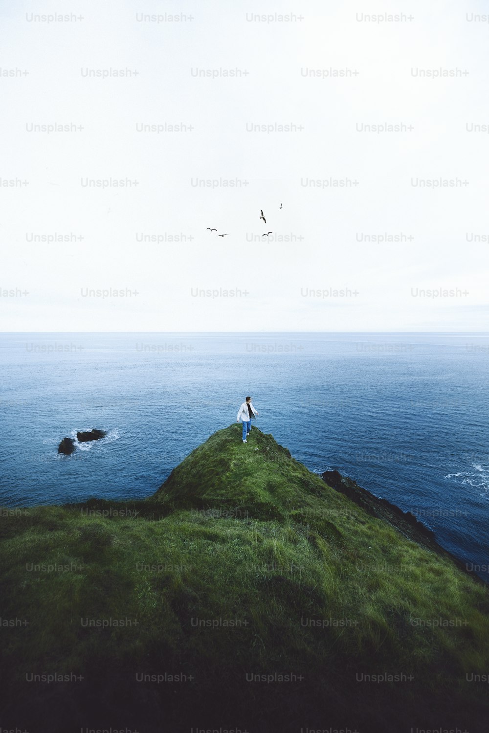 una persona in piedi in cima a una collina coperta d'erba vicino all'oceano