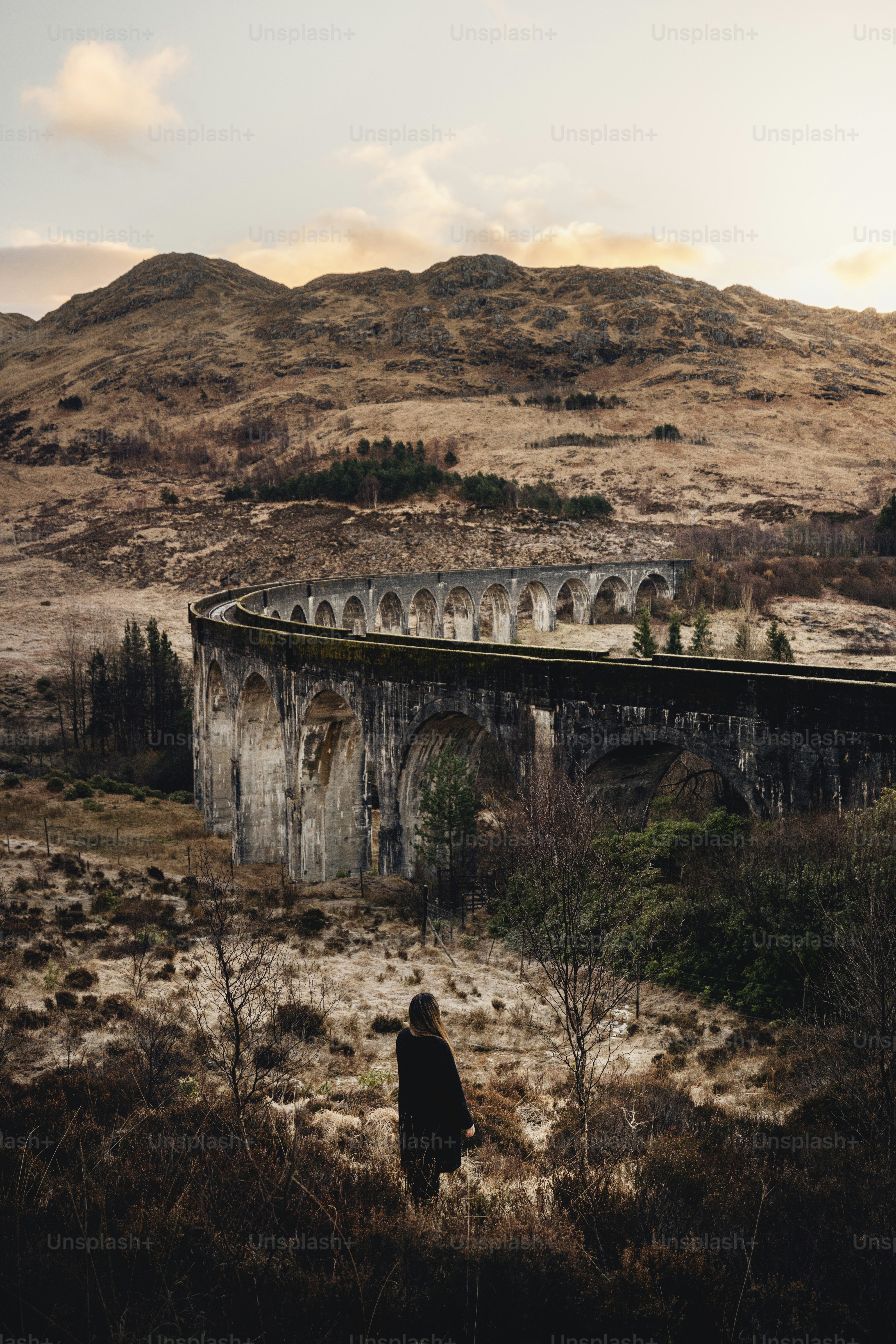 a man standing in a field next to a bridge