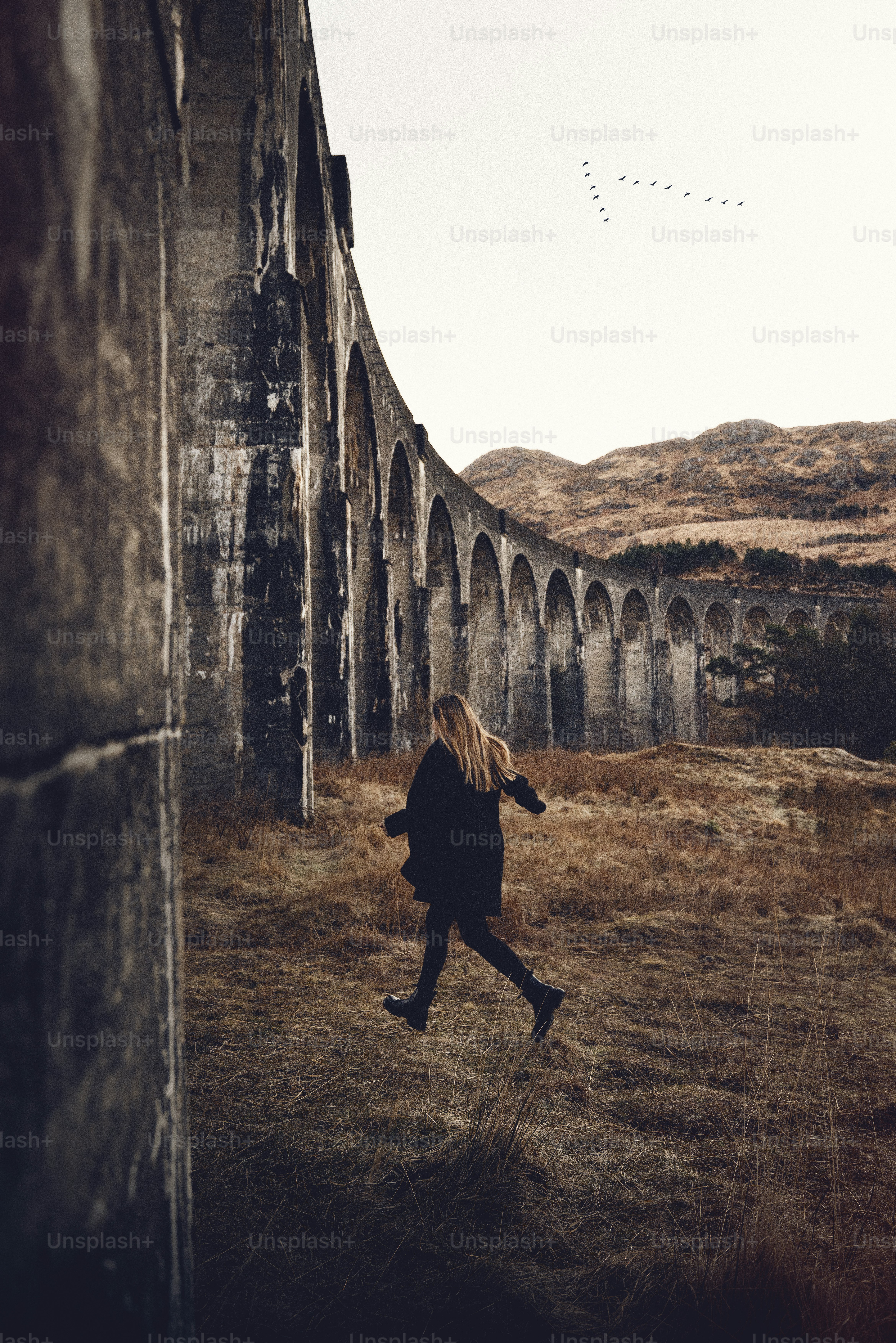 한 여성이 다리 근처 들판에서 달리고 있다