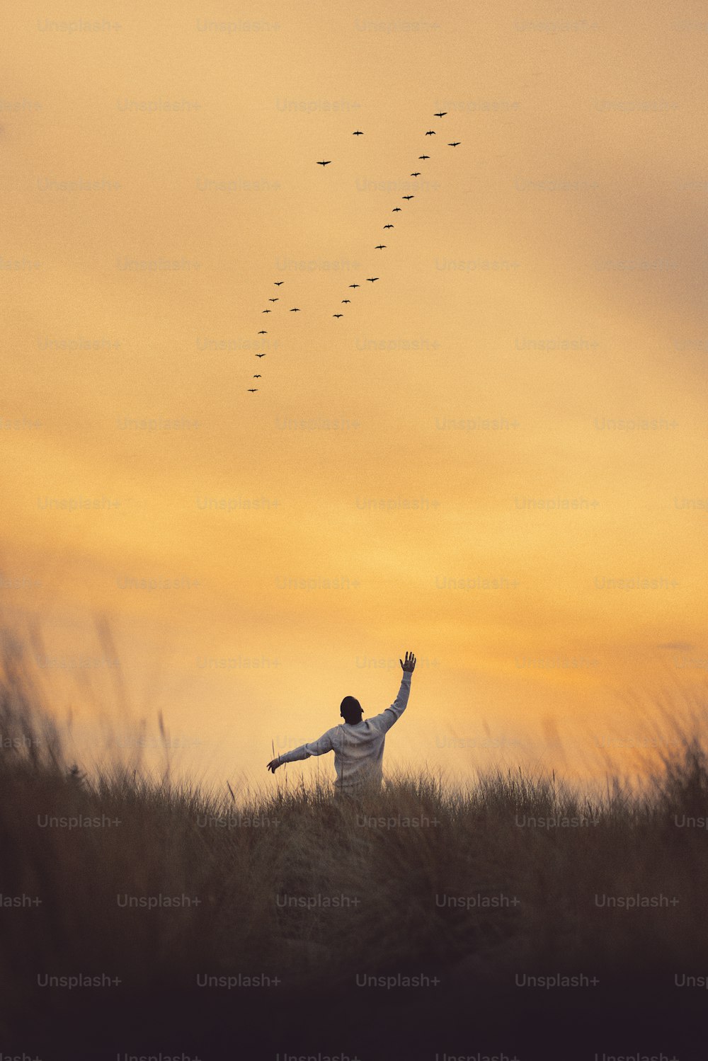 凧を揚げる野原に立つ男