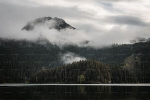 um lago cercado por uma floresta com uma montanha ao fundo