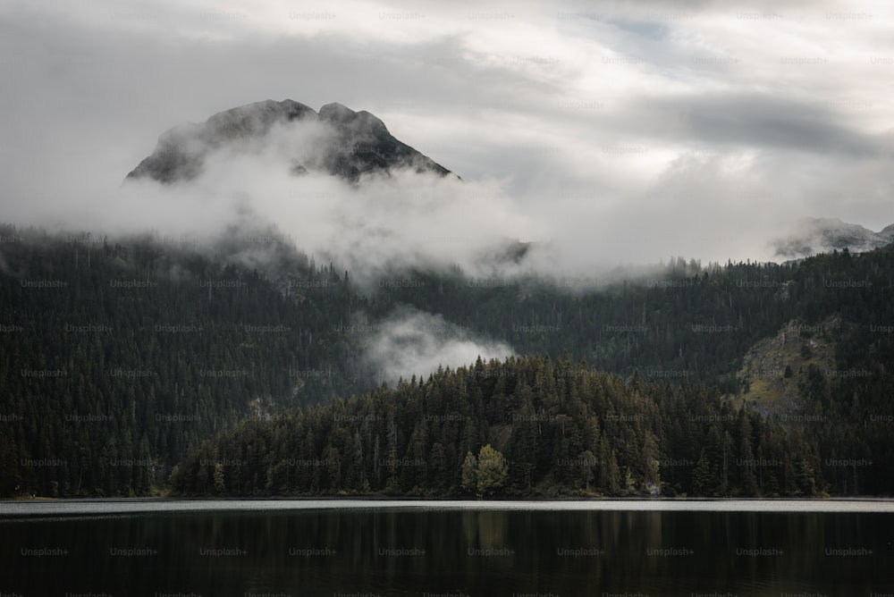 ein See, umgeben von einem Wald mit einem Berg im Hintergrund