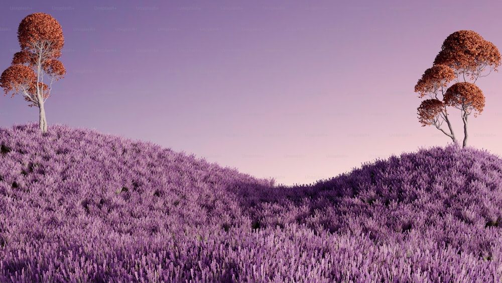 two trees on a hill covered in purple flowers