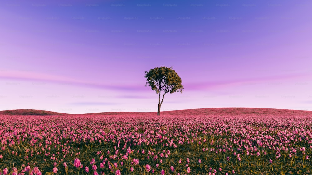 uma árvore solitária no meio de um campo de flores