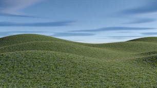 uma colina gramada com um céu azul ao fundo