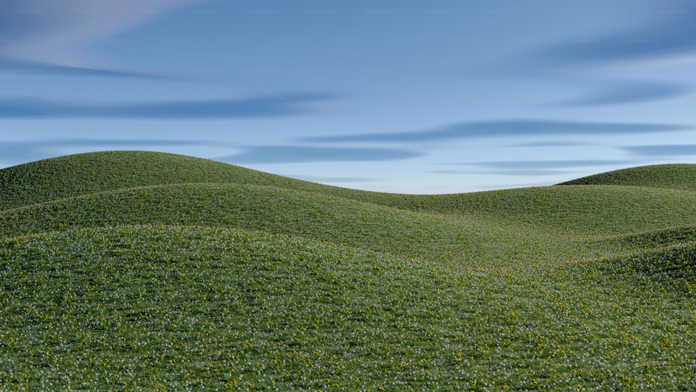 ein grasbewachsener Hügel mit blauem Himmel im Hintergrund