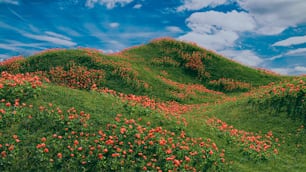 青空の下、花に覆われた丘