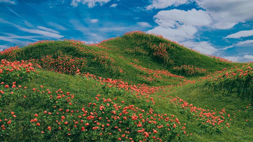 ein mit Blumen bedeckter Hügel unter blauem Himmel