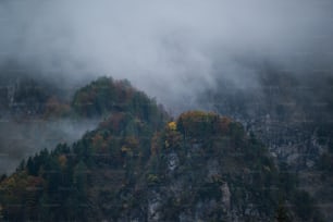 a mountain covered in clouds and trees