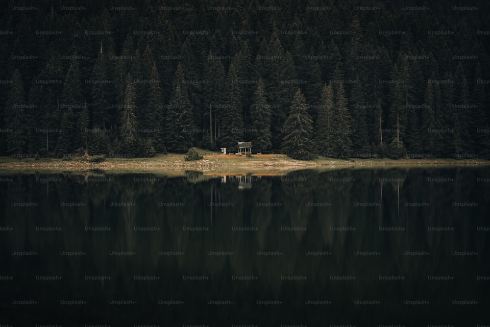 Una piccola cabina si trova su una piccola isola in mezzo a un lago