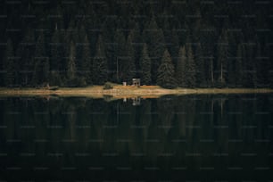 a small cabin sits on a small island in the middle of a lake
