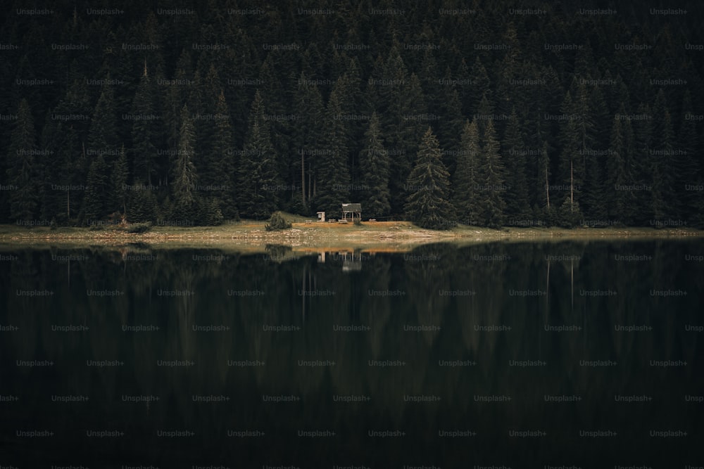 a small cabin sits on a small island in the middle of a lake