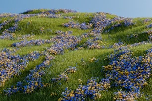 ein Hügel, der mit blauen und gelben Blumen bedeckt ist