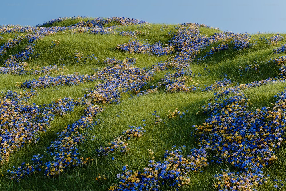 uma encosta coberta de flores azuis e amarelas