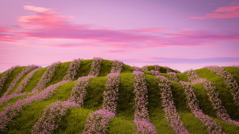 a lush green hillside covered in pink flowers
