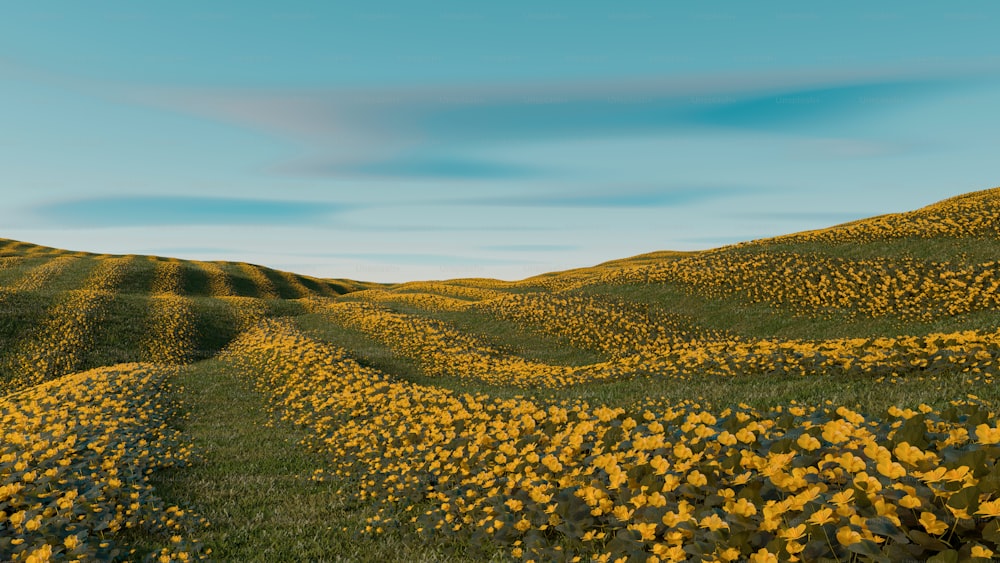 um campo de flores amarelas com um céu azul no fundo