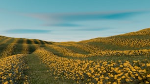 a field of yellow flowers with a blue sky in the background