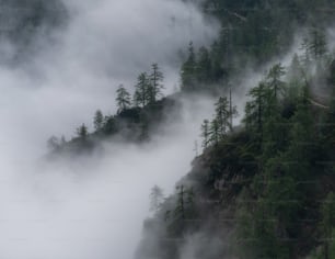 una montagna coperta di nebbia e alberi