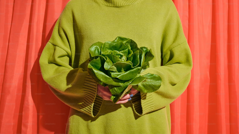 una persona sosteniendo una planta verde en sus manos
