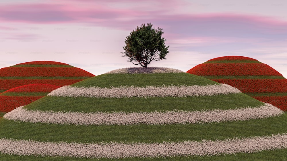 a tree on top of a grassy hill
