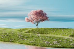 un árbol rosado en un campo cubierto de hierba junto a un cuerpo de agua