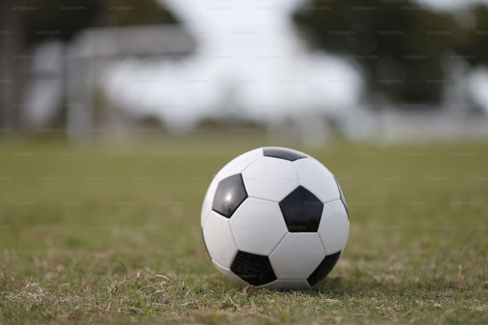 un ballon de football posé sur un terrain verdoyant