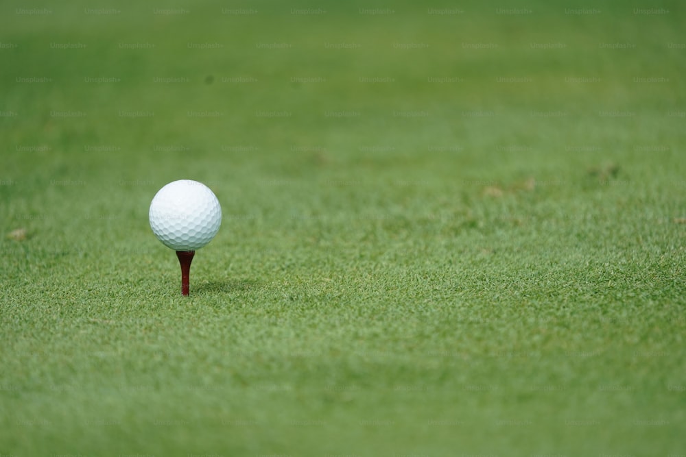 a golf ball on a tee in the grass