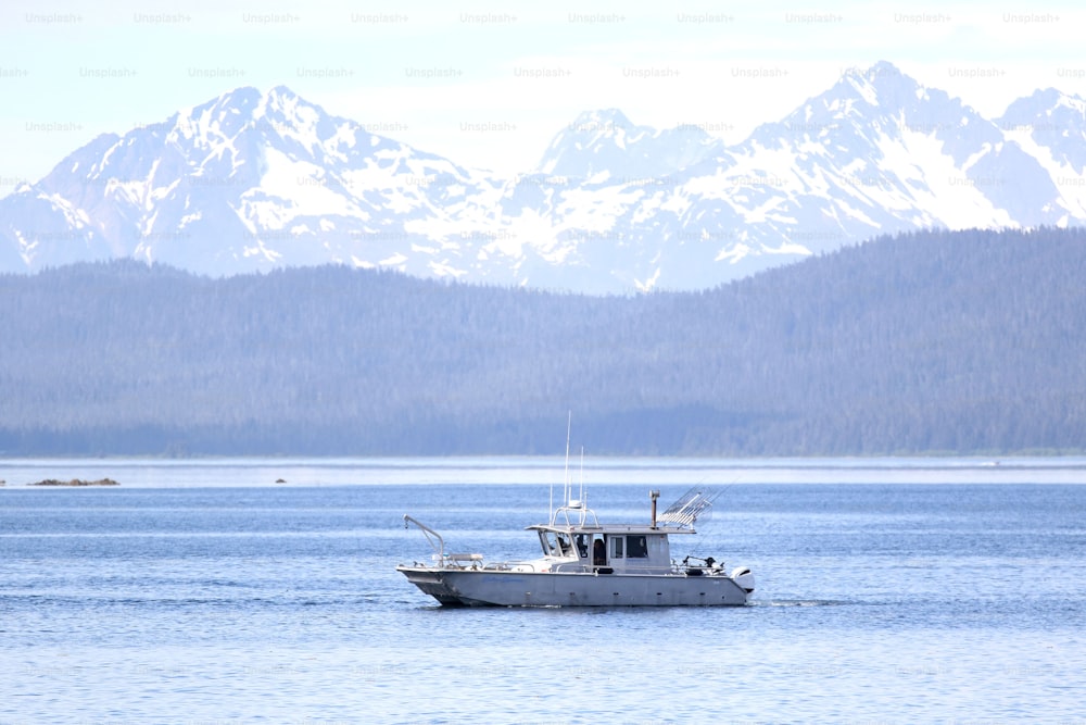 Imágenes de Pesca En Alaska  Descarga imágenes gratuitas en Unsplash