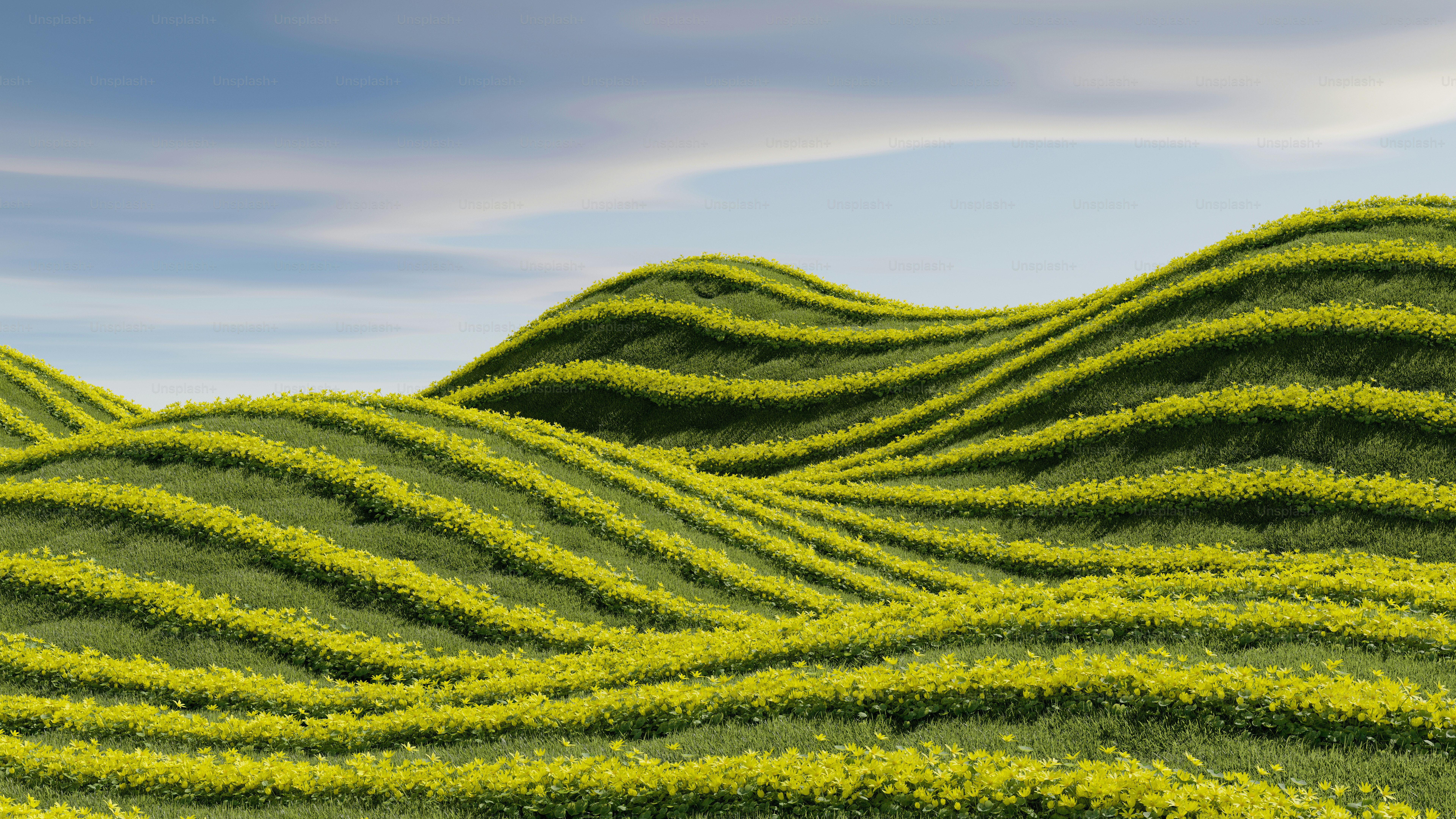青空を背景にした緑の草原