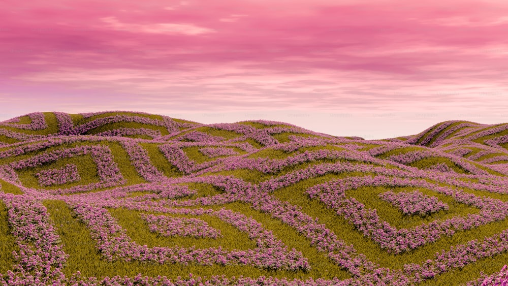 um campo de flores com um céu rosa no fundo