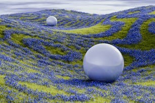 two white balls in a field of blue flowers