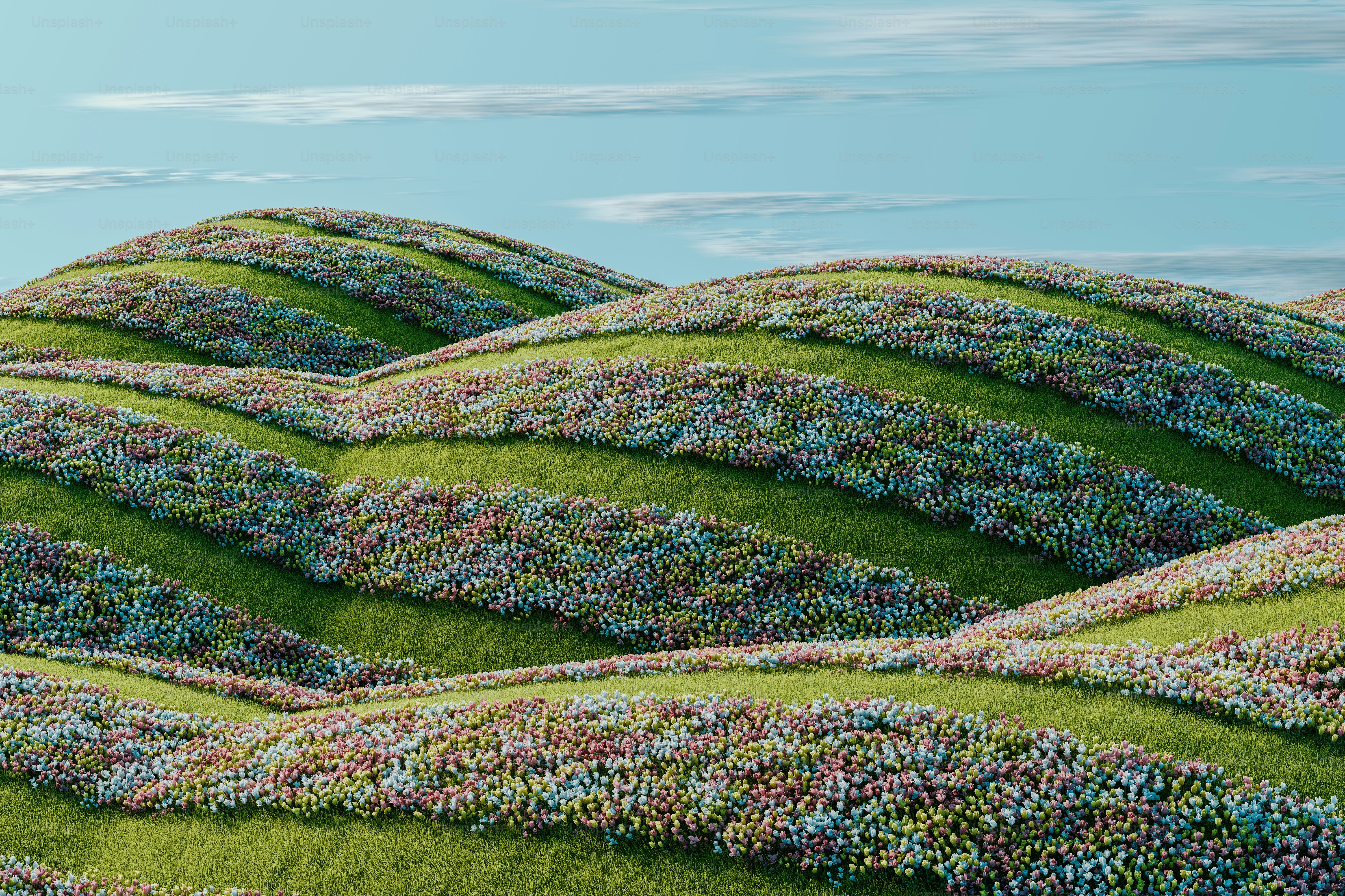 a group of people standing on top of a lush green hillside