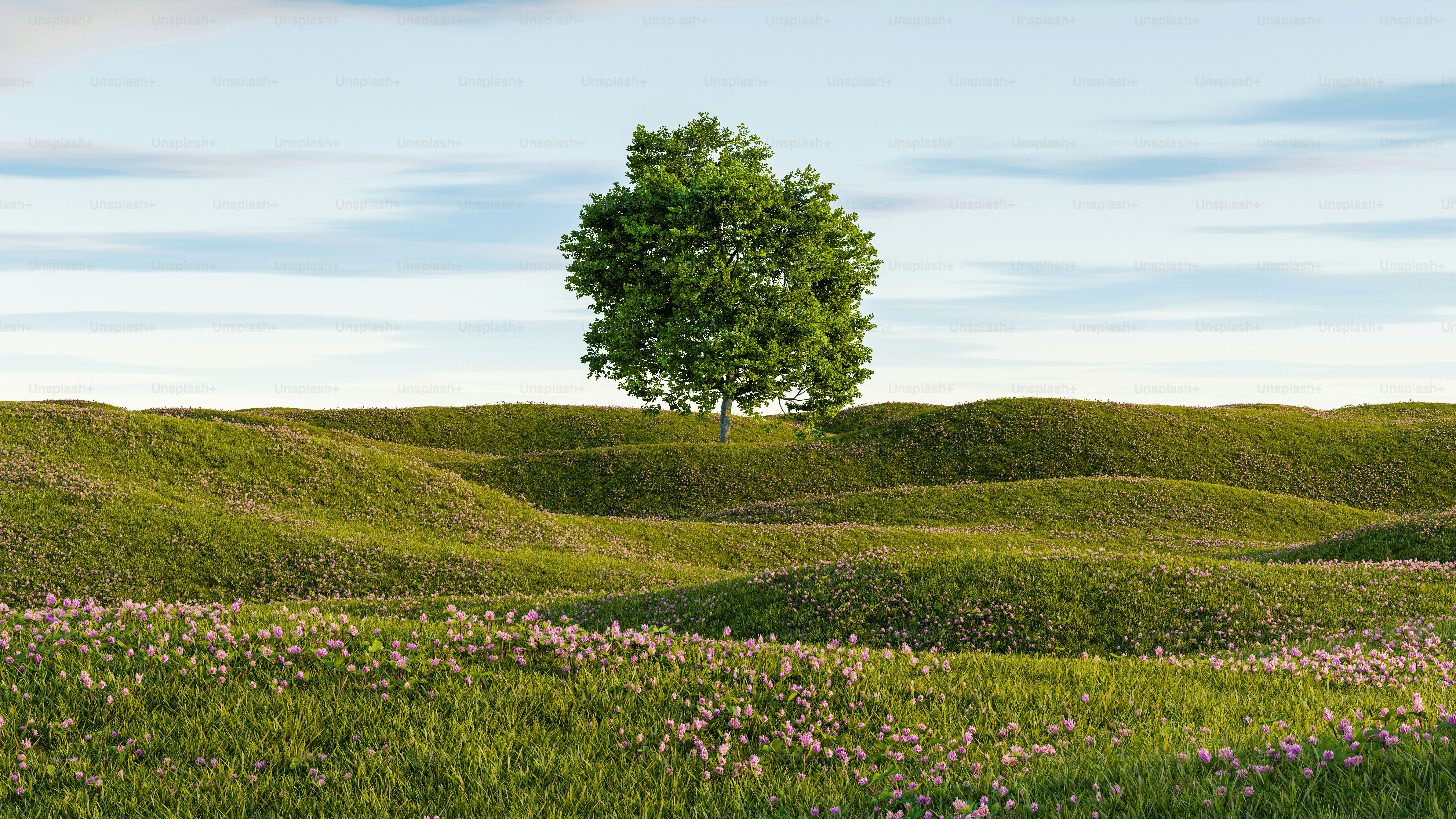 a lone tree in the middle of a field