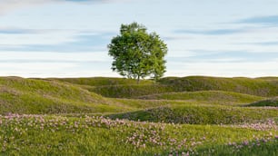 a lone tree in the middle of a field