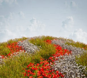 a field of wildflowers and other flowers on a hill