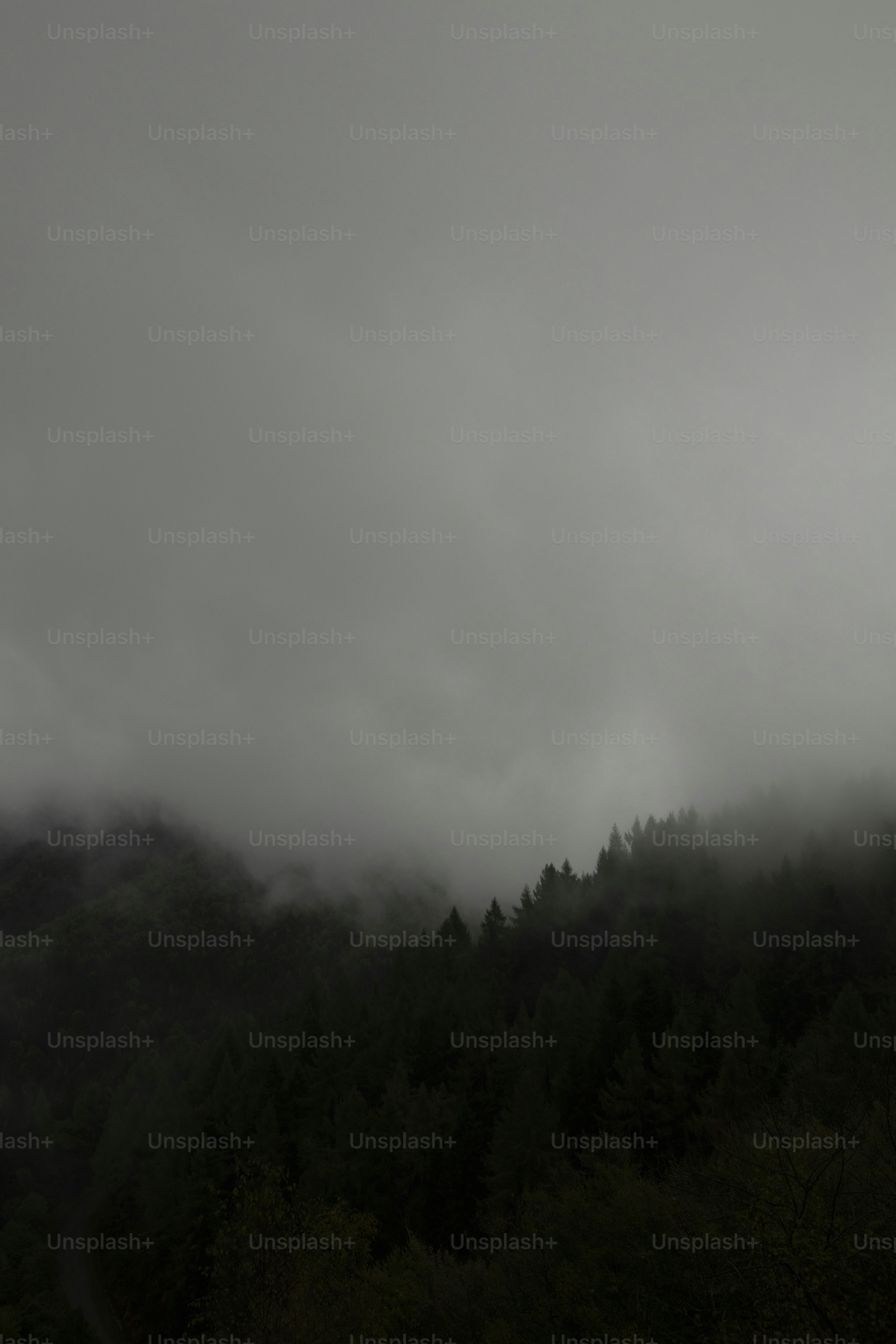 Una foto en blanco y negro de una montaña brumosa