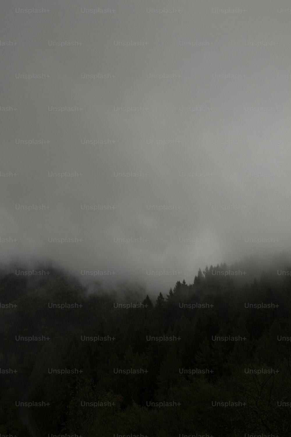 Une photo en noir et blanc d’une montagne brumeuse