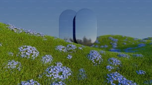 a field of blue flowers with mirrors in the background