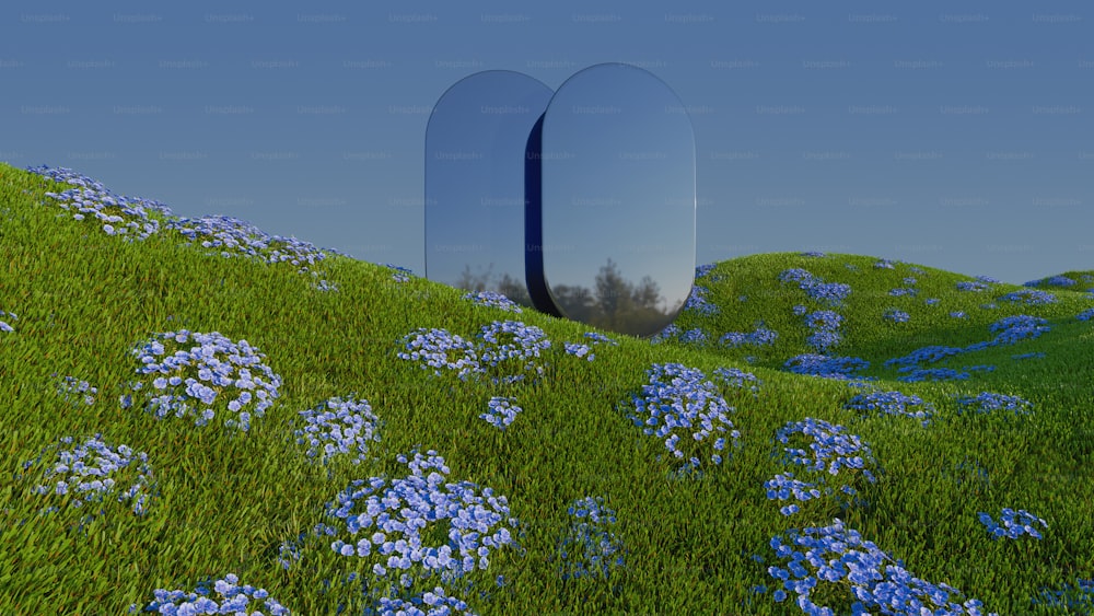 a field of blue flowers with mirrors in the background