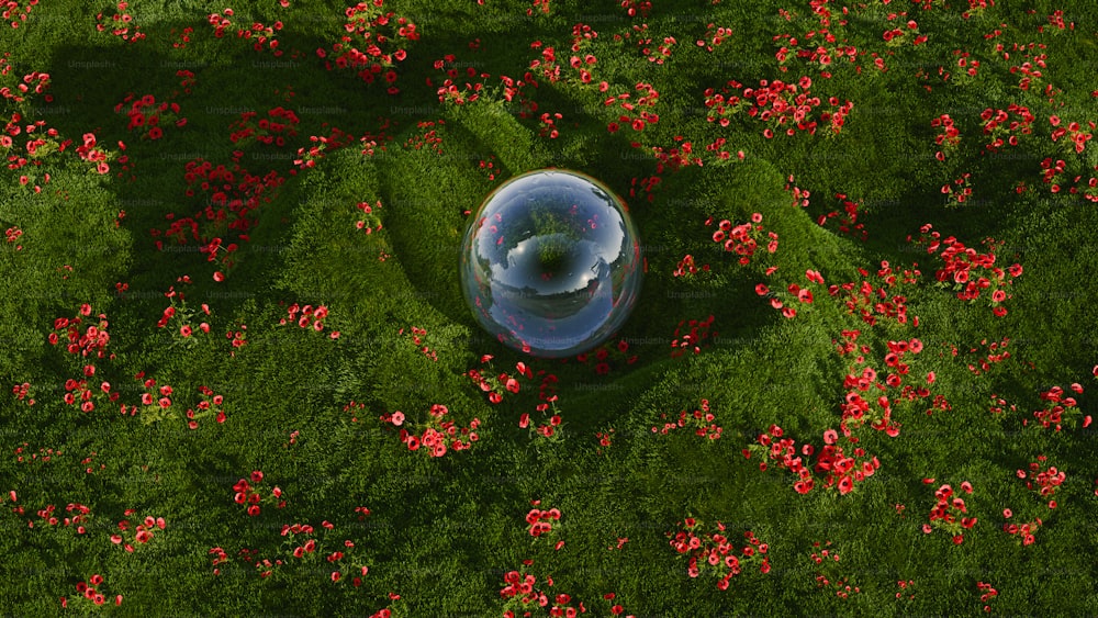 an aerial view of a glass ball in a field of flowers