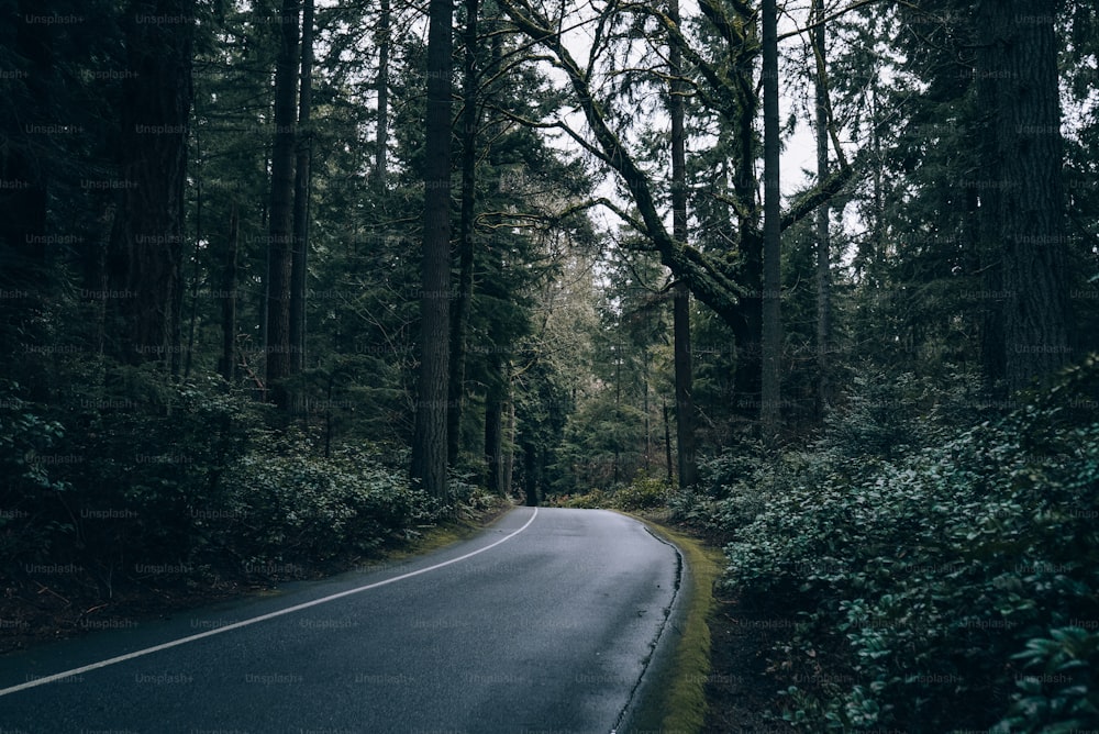 Una strada tortuosa in mezzo a una foresta