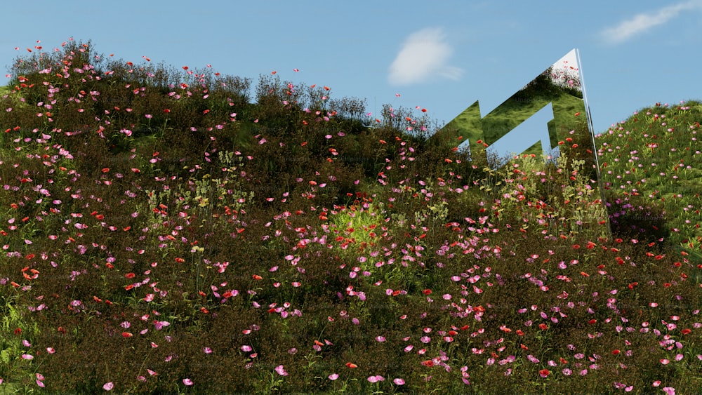 a field of flowers with a sign in the middle of it