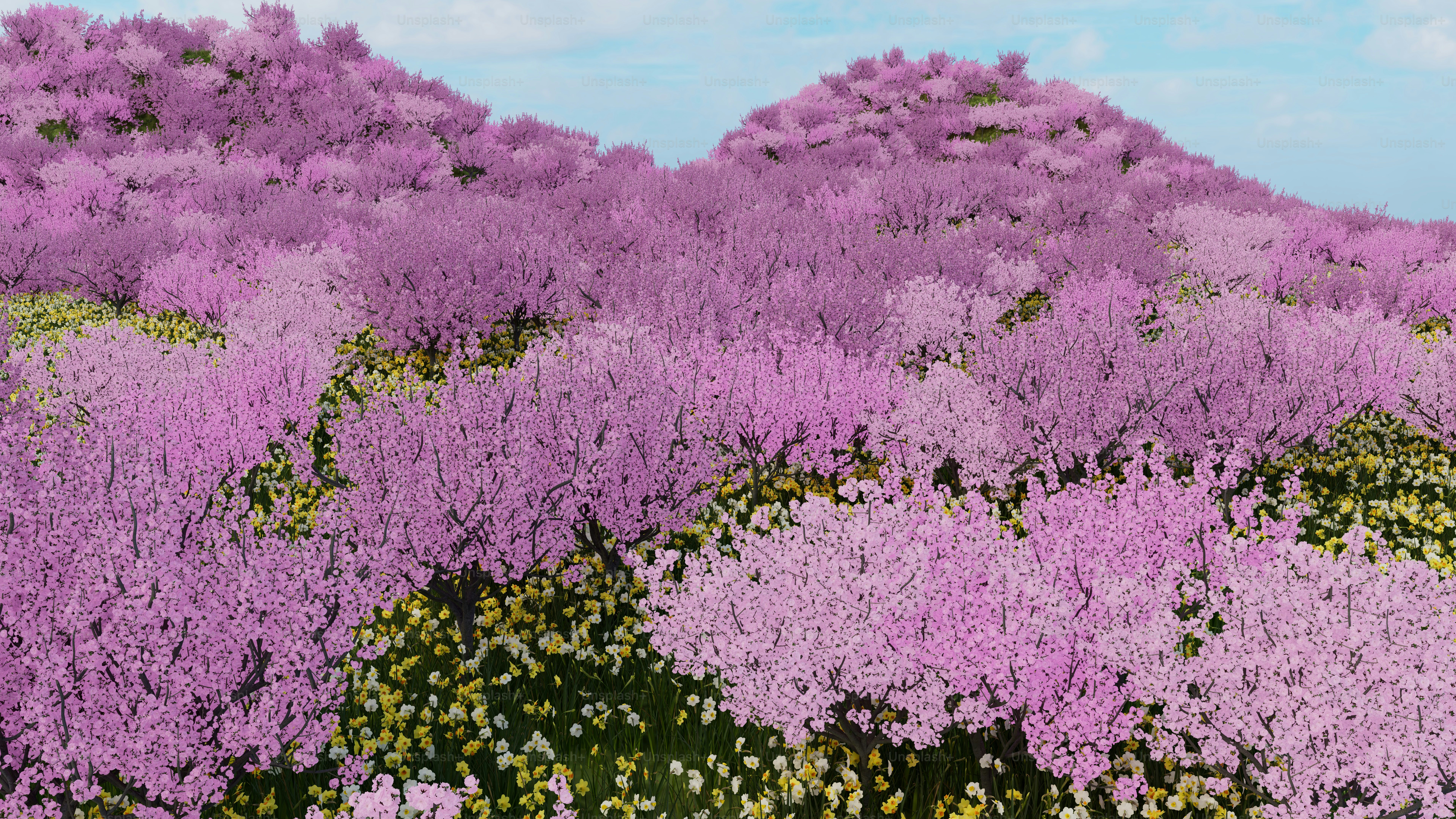 a field full of purple flowers under a blue sky