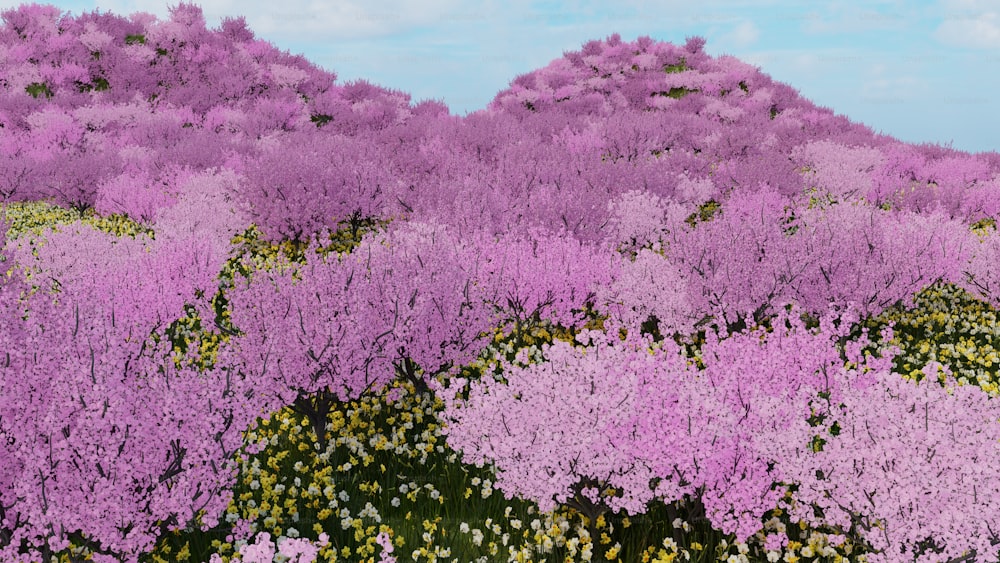 青空の下、紫色の花が咲き乱れる野原