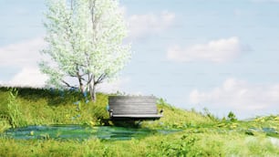 eine Holzbank, die auf einer saftig grünen Wiese sitzt