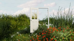 uma porta branca sentada no meio de um campo verde exuberante