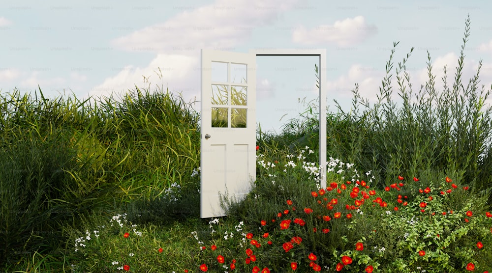 una puerta blanca en medio de un exuberante campo verde