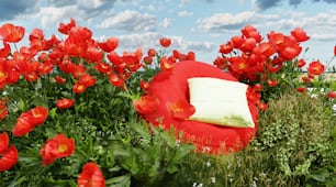 una silla roja sentada en un campo de flores rojas